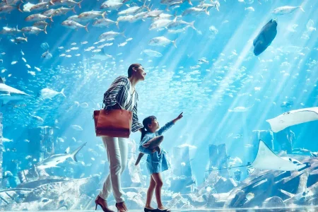 Lost Chamber – Bye & Fly