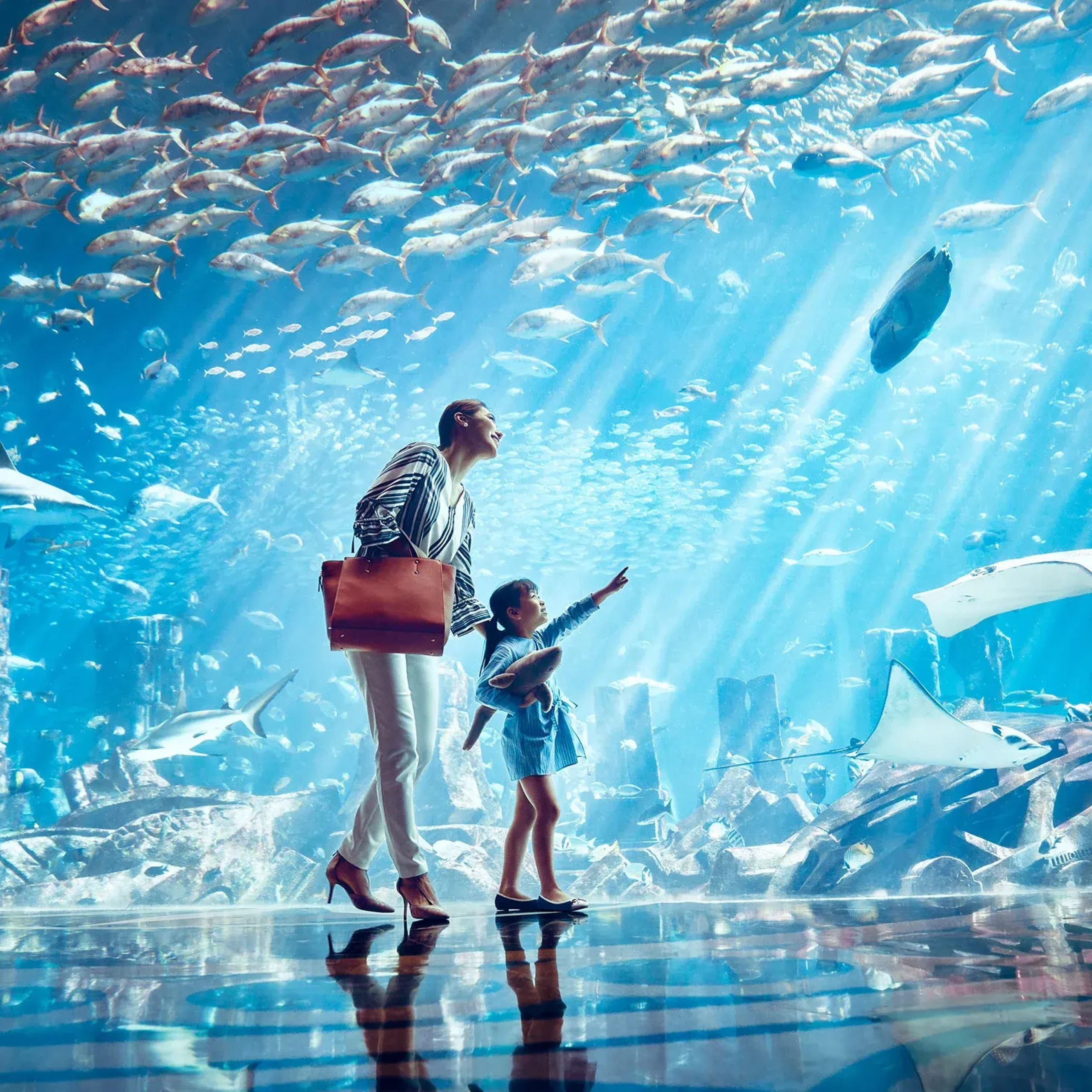 Lost Chamber – Bye & Fly