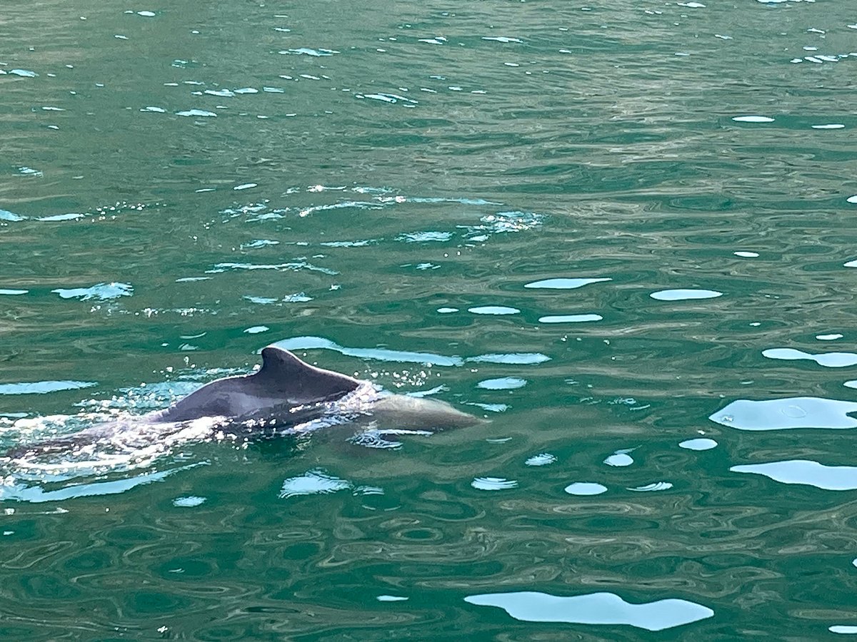 Musandam Dhow Cruise – Bye & Fly