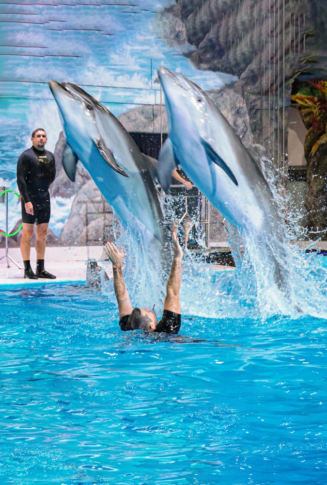 Dubai Dolphinarium